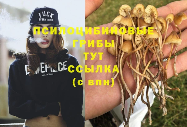 дурь Баксан